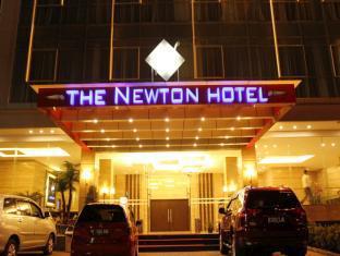 The Newton